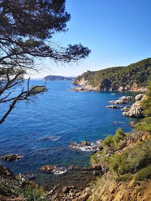 Apartamento Con Piscina L' Ancora Calella De Palafrugell