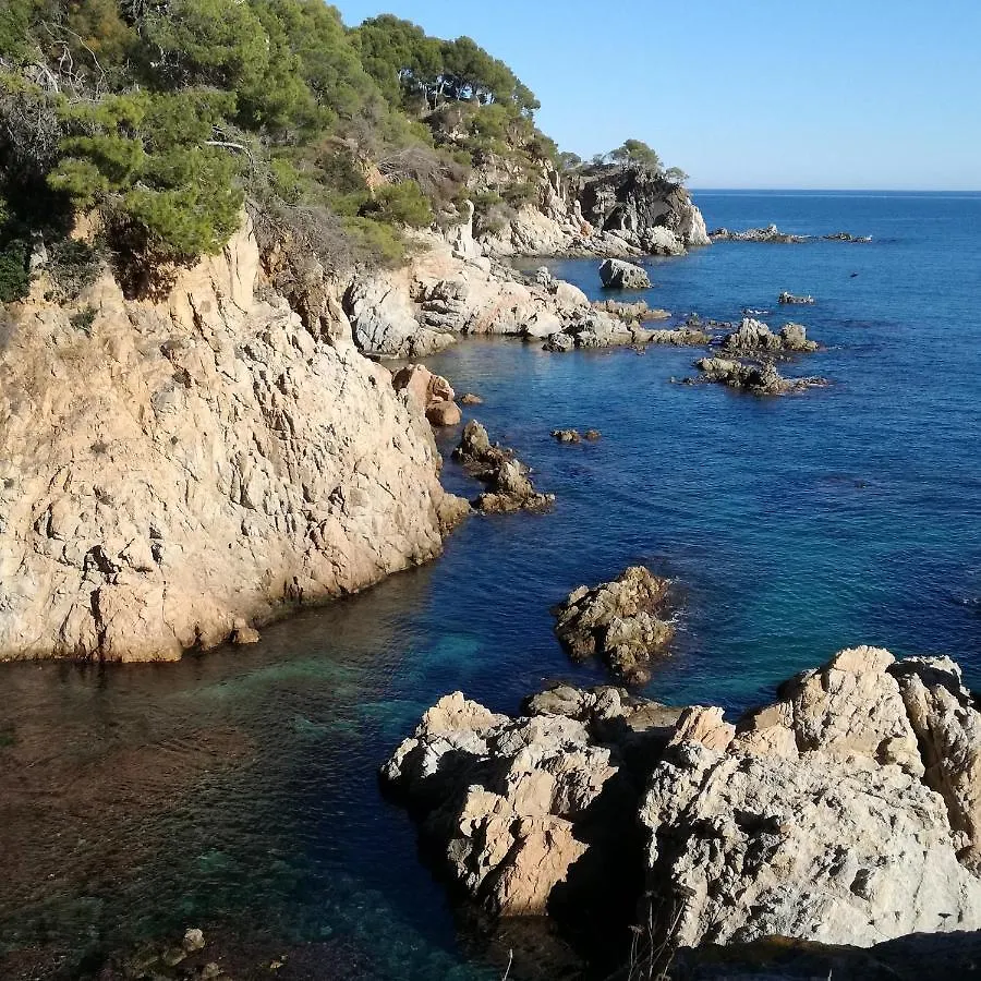 Apartment Apartamento Con Piscina L' Ancora Calella De Palafrugell
